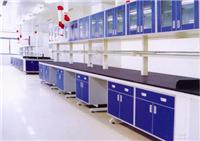 专业生产实验台、通风柜、实验室设备、厂家直销
