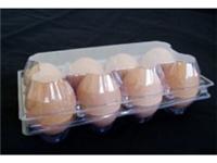 Plastic egg tray