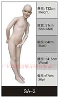 Supply of quality products plant modeling, realistic effects dummy mannequins, window display models wholesale