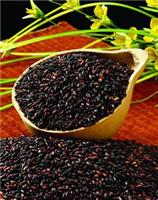 Black rice black rice extract anthocyanin