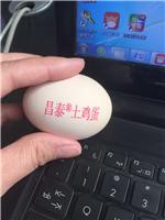 天津鸡蛋喷码机 单排鸡蛋喷码机 小捣蛋鸡蛋打码机