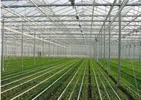 Quality of solar greenhouses construction | solar greenhouse construction provides ease of Shandong