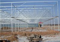 Bargain price greenhouses built - [Recommended] good reputation greenhouse construction companies