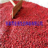 长沙地区供应红豆树种子 鄂西红豆种子批发