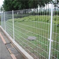 围栏网、浸塑铁丝网、质量优护栏网