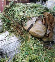 供应中国香港回收环保处理废电子脚  电子废料中国香港环保销毁