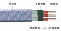 潜油引接电缆QYPN|潜油泵电缆厂家