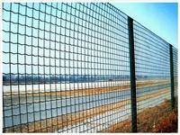 养鸡围栏网的表面处理方式有什么 河南圈地围栏网的特点有什么 