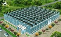 供应专业蔬菜温室大棚建设 郑州诺博几字钢结构大棚建造