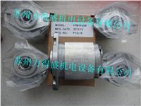 1AG1P09R中国台湾HR齿轮泵