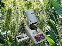 小麦水分检测仪、小麦含水量测定仪