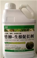 竹柳--生根促长剂