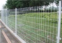 供应草场围栏网、草场隔离网、草场护栏网