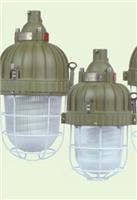 供应BAD81系列防爆紧凑型节能灯