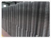 供应改拔电焊网，铁丝网，电焊网厂