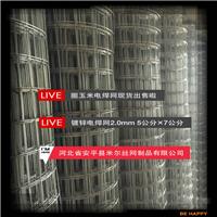 Cold galvanized barbed Sheng Mier Company
