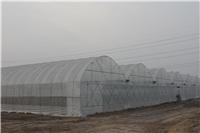 Greenhouse manufacturers shed where the good factory in Xuzhou Hout supply of quality steel exterior shading of Greenhouse nursery greenhouses fan wet curtain optional