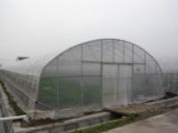 PC阳光板温室 河南销售温室大棚 温室钢结构  温室促销 玻璃温室