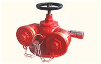 武夷山市多用式地上消防水泵接合器规格全