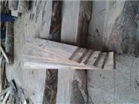 木材包装材料 松木 安树