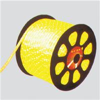 LED圓二線扁三線四線五線炫彩燈帶效果定制防水防靜電