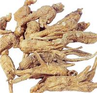 Angelica extract, blood circulation, relieving pain, laxative