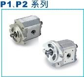 P101RP01GT齿轮泵