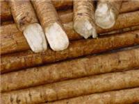 Arctium экстракт, жаропонижающее, мочегонное, снижение сахара в крови, противоопухолевый