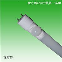 灯管厂家 专业生产led微波感应灯管 t8雷达感应灯管批发