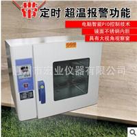 惠州鼓风干燥箱烘箱高温烤箱台式老化试验箱食品厂烧杯消毒干燥箱KH-45A