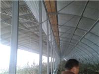 本溪温室大棚的建造价格/锦州蔬菜大棚的尺寸
