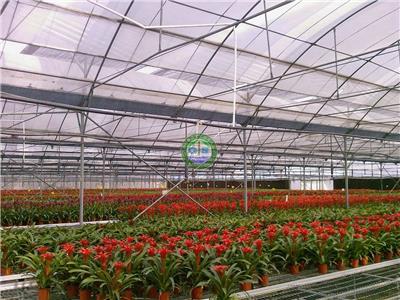 Supply of high-Jingchuan Lingtai Chong Xinhua Pavilion greenhouse materials quality Insect greenhouse greenhouse Goshen
