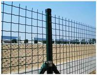 圈地围墙网，圈地隔离网，围山围墙网，围墙护栏铁丝网
