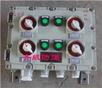 CMDG53防爆照明动力配电箱
