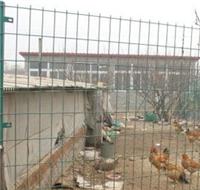 养鸡护栏