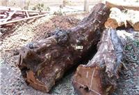 木材大红酸枝一般贸易进口报关佛山木材进口报关行