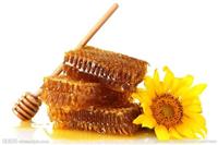 蜂蜜进口，蜂蜜进口报关，蜂蜜包税进口