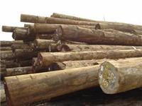 Ningbo Ya douane à l'importation de bois de rose agent de dédouanement