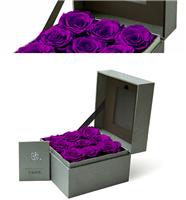 紫玫瑰花语是什么