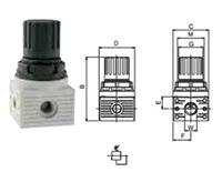 供应意大利AIGNEP安耐气源处理元件 T080Mini水泵稳压器