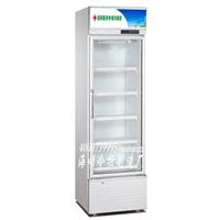 阳江蔬菜保鲜柜,立式展示冷藏柜,单门展示柜