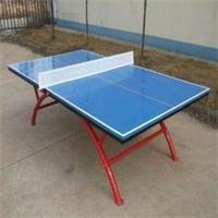 厦门乒乓球桌价格、泉州乒乓球桌安装、漳州乒乓球桌公司