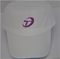 球帽 Translink Shipping高尔夫球帽