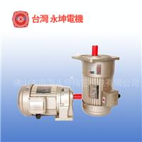 中国台湾品质 永坤齿轮减速电机 小型电机 减速器 可附电磁刹车