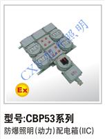 松阳）CBP55防爆动力检修箱IIC）防爆动力检修箱