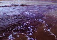 牡丹江生活水箱殺菌去藻紫外線消毒器