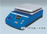 供应厂价直销，较低报价磁力搅拌器，ZNCL-B智能磁力搅拌器