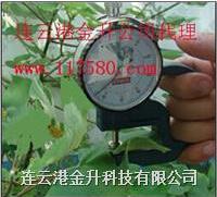 连云港 国产植物测厚仪 YH-1叶片测厚仪 用于研究植物水分状态