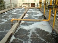皮革废水处理|河北皮革废水处理工艺选择方法