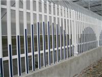 昶旭PVC塑钢护栏供应商/PVc护栏/塑钢护栏价格